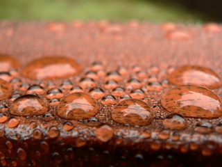 raindrops on deck