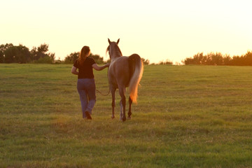 girl horse and sunset beta