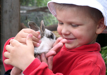 boy and rabbit