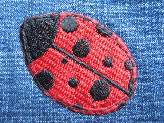 ladybird on jeans