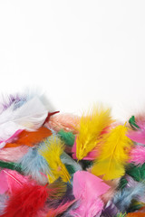 feathers