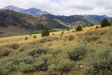 Fototapeta premium storm brewing