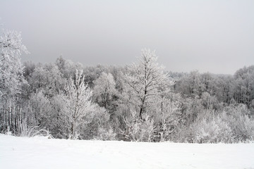 winter scene