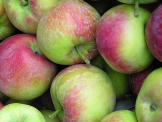 early apples