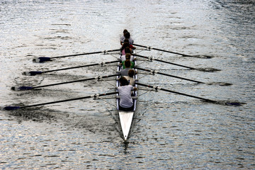 team effort © Steven Pepple