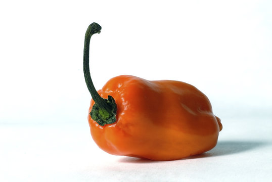 one habanero