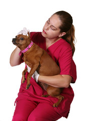 veterinarian woman holding dog