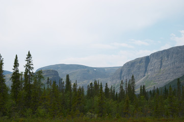 Fototapeta na wymiar tundra mountains