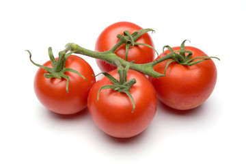 vine tomatoes on a white studio background.