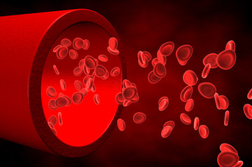 red blood cells