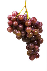 grapes