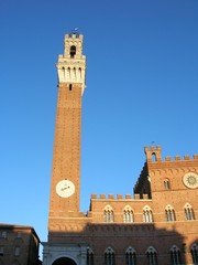 Obraz premium siena