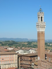Fototapeta premium siena