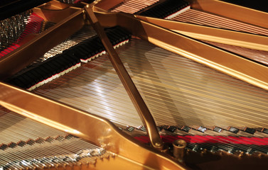 interior of grand piano