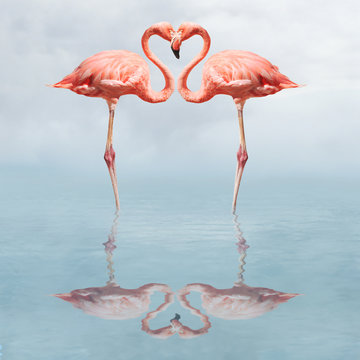 Fototapeta Dwa różowe flamingi w romantycznej pozie do sypialni