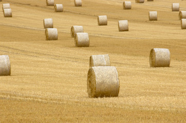 rolls of hay