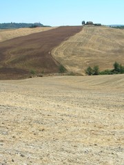 Obraz premium tuscany