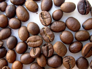grains of coffee