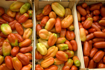 tomates et poivrons en vrac