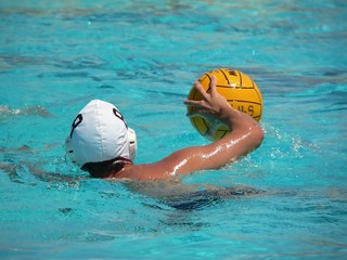 water polo series - 1255346