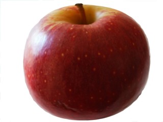 fresh and large apple