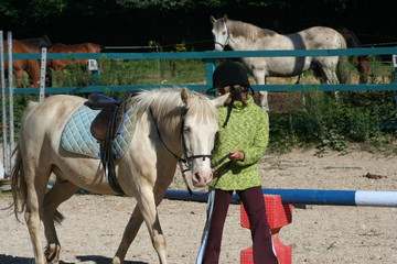 equitation