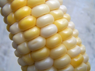 corn.