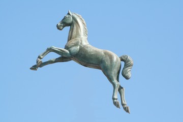 cheval sur ciel bleu