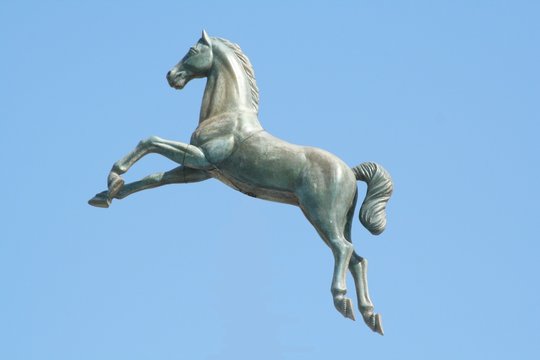 cheval sur ciel bleu