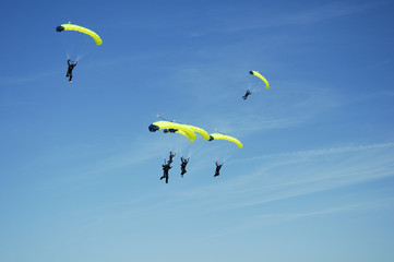 skydiving team 5