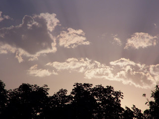 Obraz premium decline