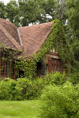 Fototapeta na wymiar Overgrown Home