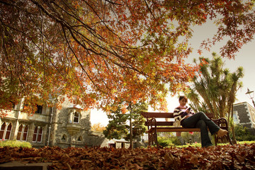 christchurch in autumn