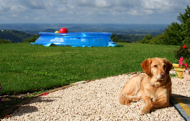 Fototapete bei efototapeten.de bestellen   