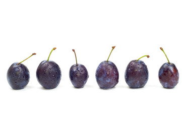 six wet plums