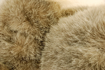 fur #2