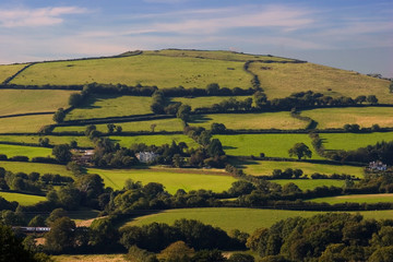 south brent hill