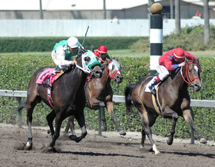 3 in the stretch