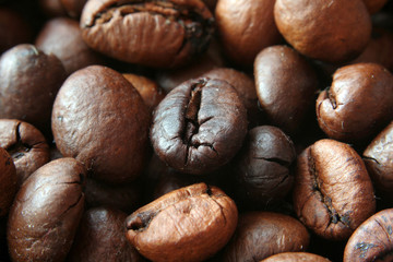 closeup of coffe grains