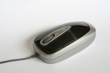 mouse: cute