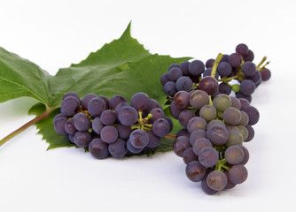 grape