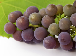 grape