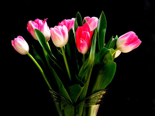 vase full of tulips