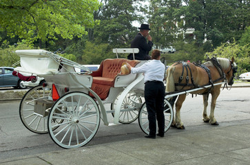 horse carriage