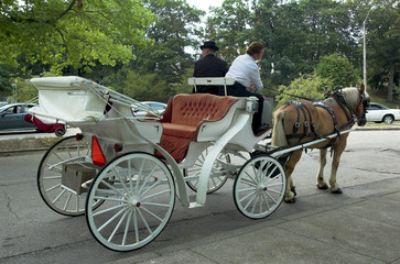 horse carriage in park
