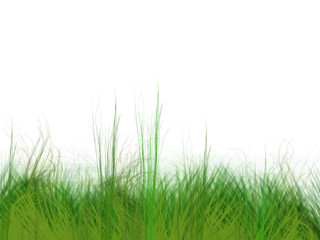 Fototapeta premium grass simulation