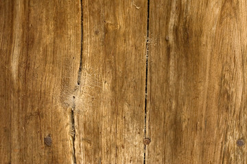 Obraz premium wood texture