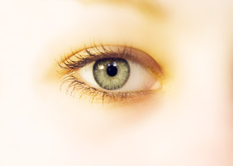 eye soft