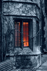 Fototapeta na wymiar window and ivy