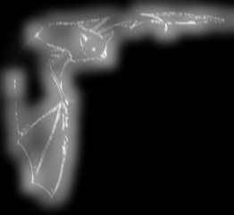 glowing giant bat